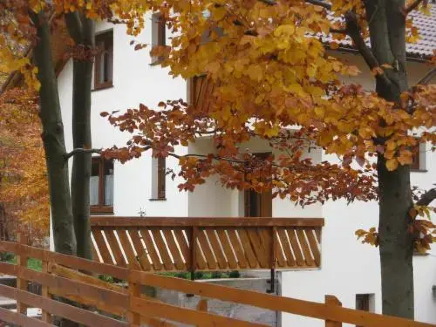 Casa de vacanta Mogosa