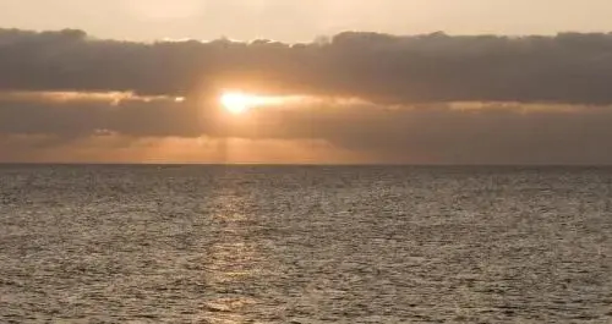 Strandvillen Wald & See