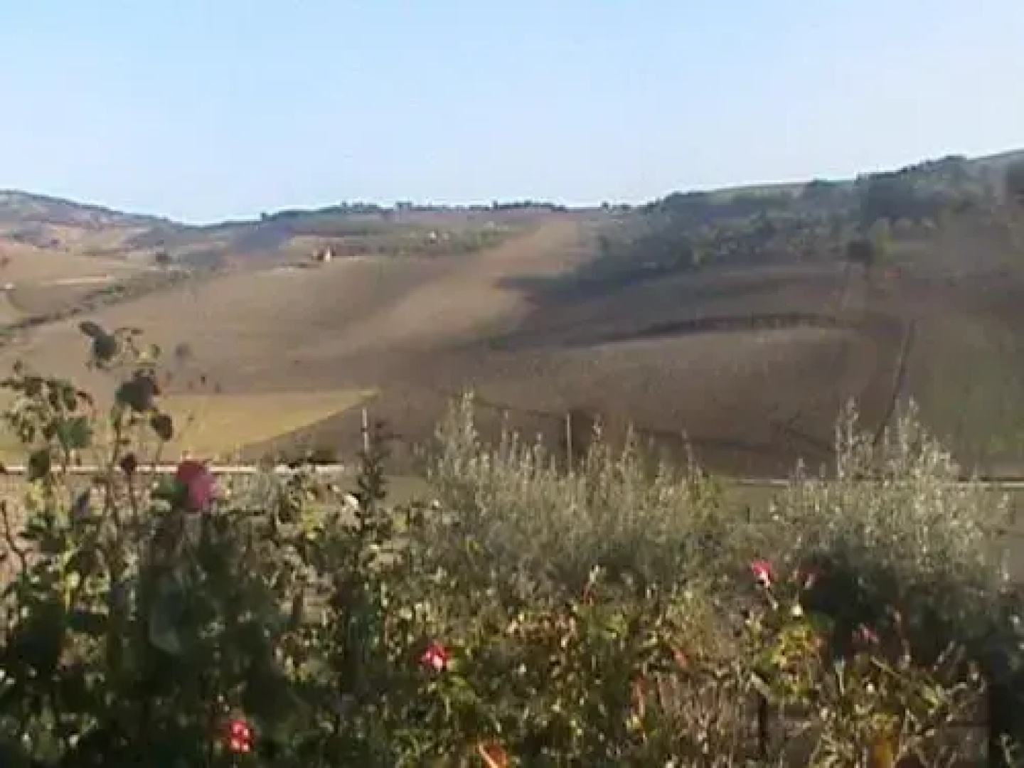 Agriturismo Manierocerulli