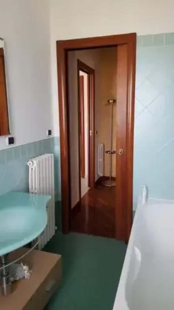 Pini sul Mare