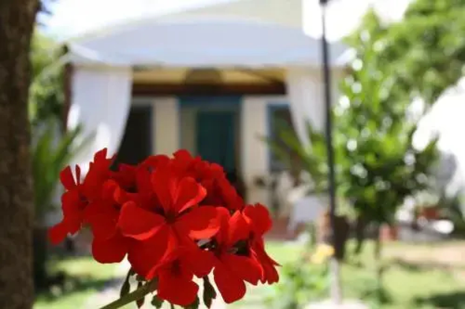 Blue B&B
