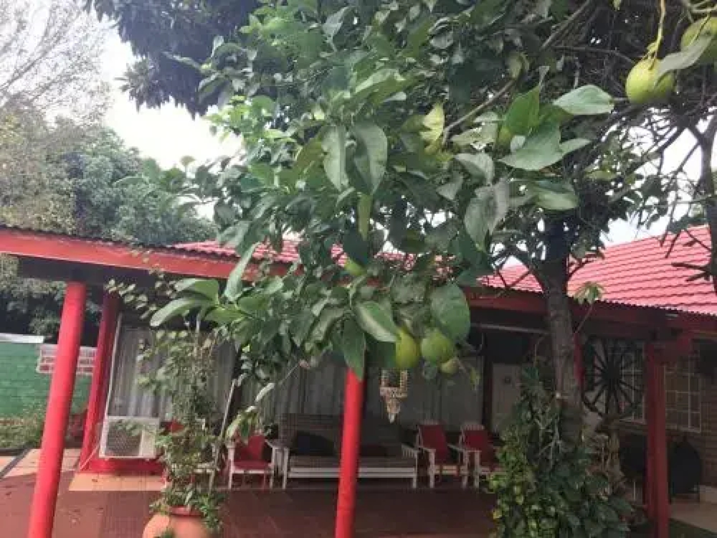 Cabañas Katy-Arte