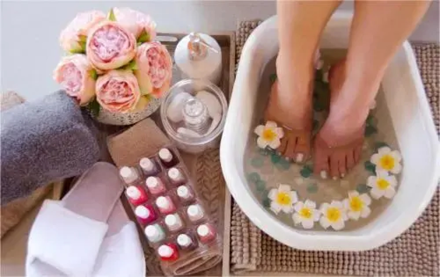 Three Oaks And An Aloe Boutique Hotel