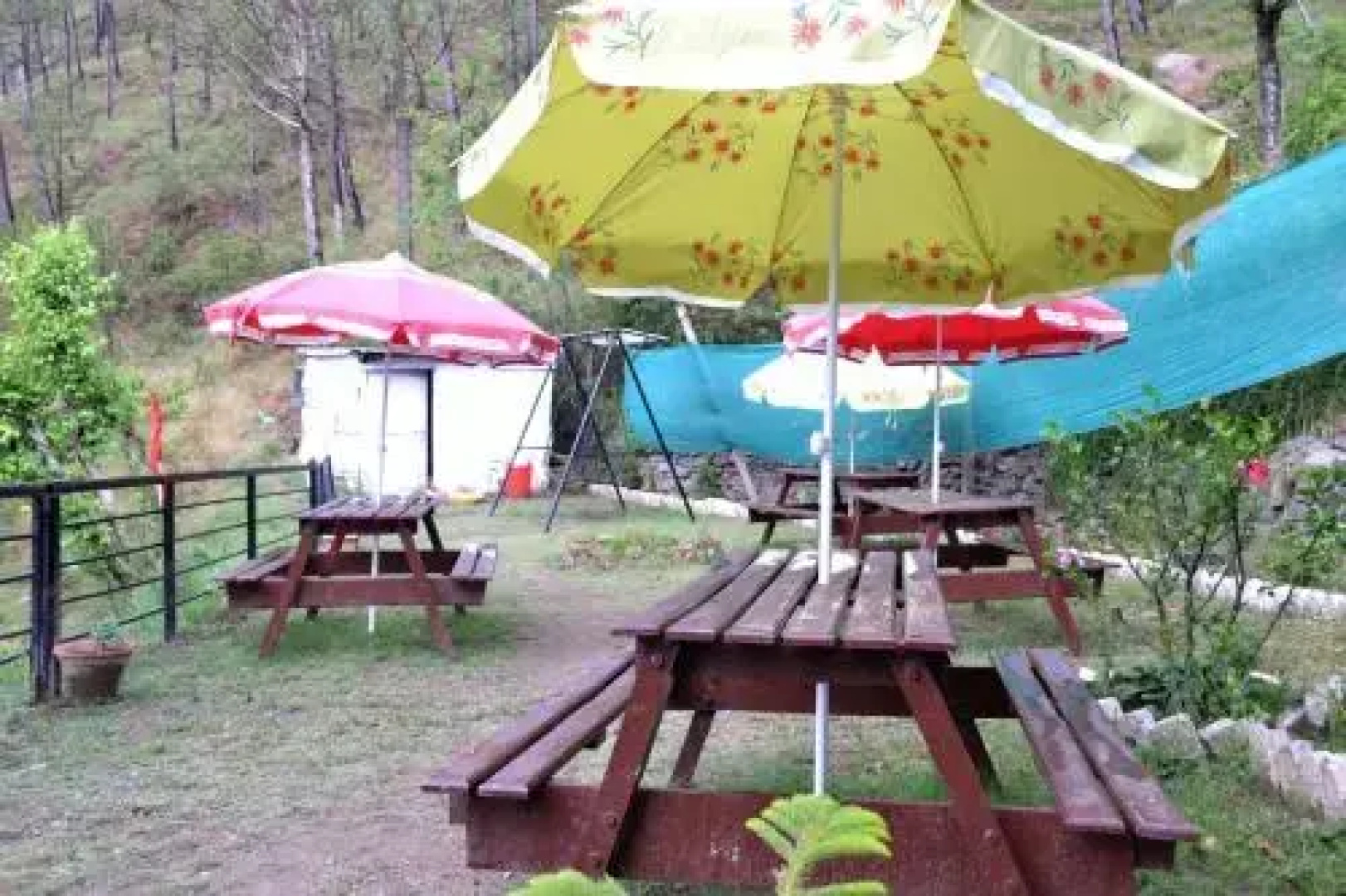 Hotel Whitemushroom Kasauli