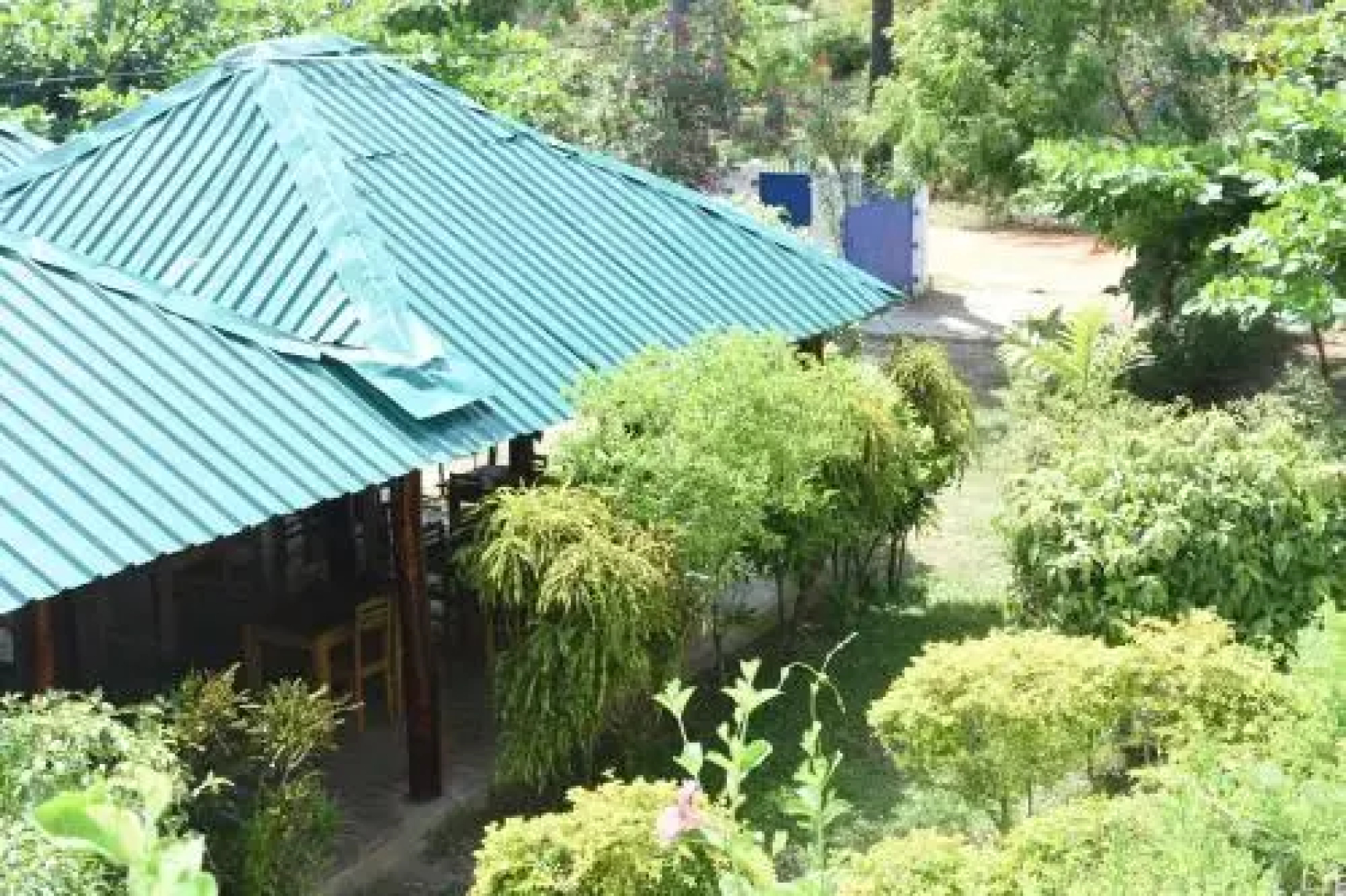 nilaveli palm house
