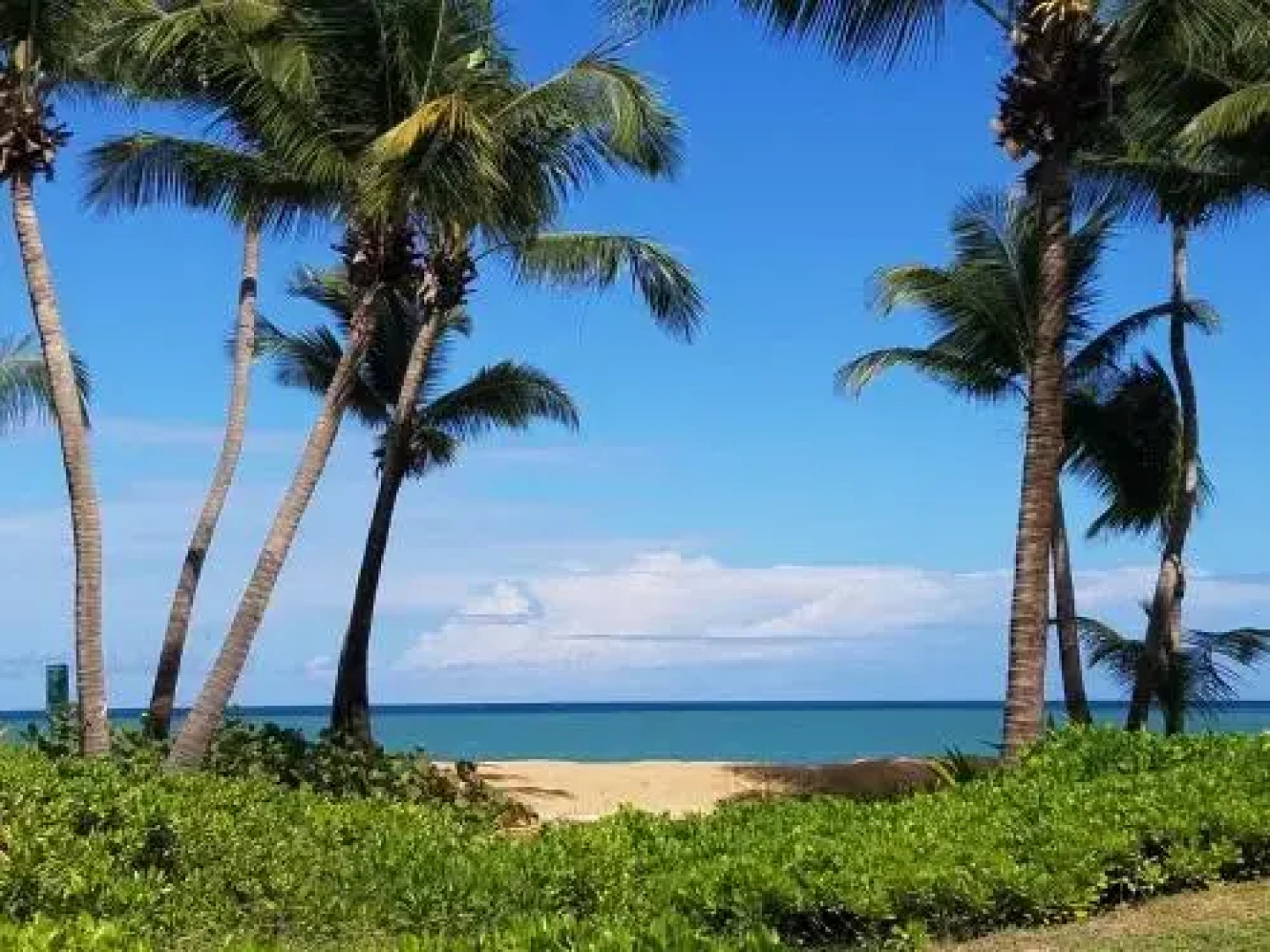 Beachfront Villa in the Rio Mar Resort