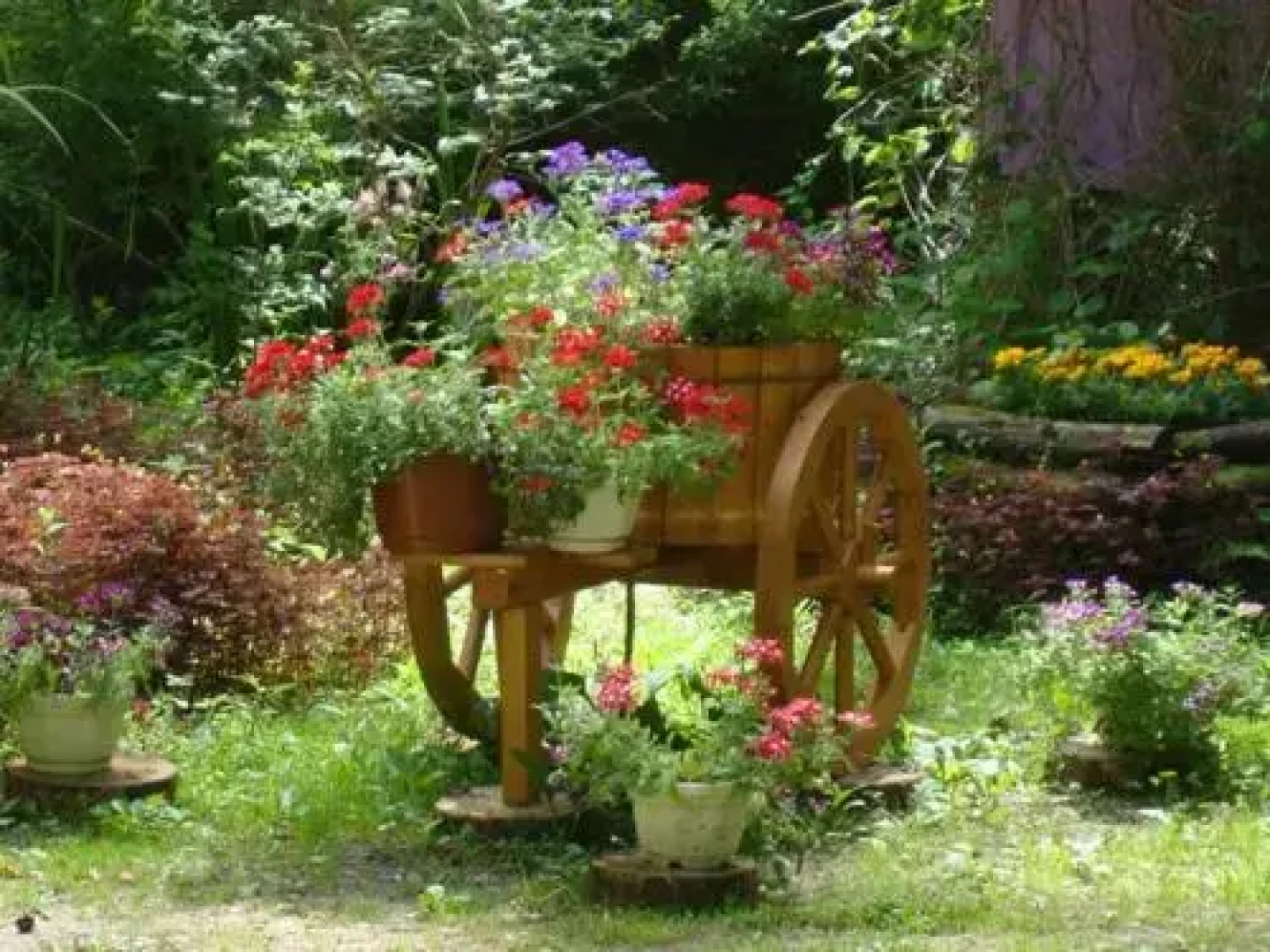 База Отдыха Рассвет на Оке