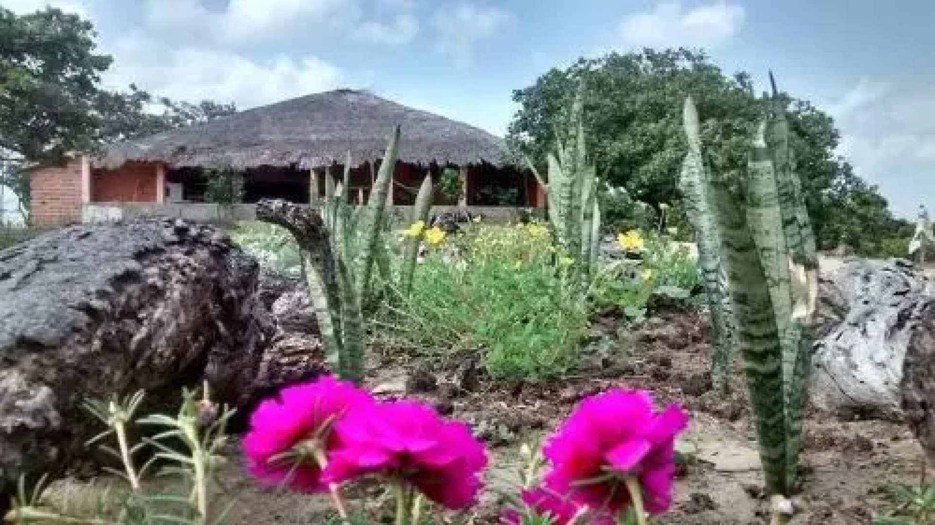 Paraíso do Caju Camping