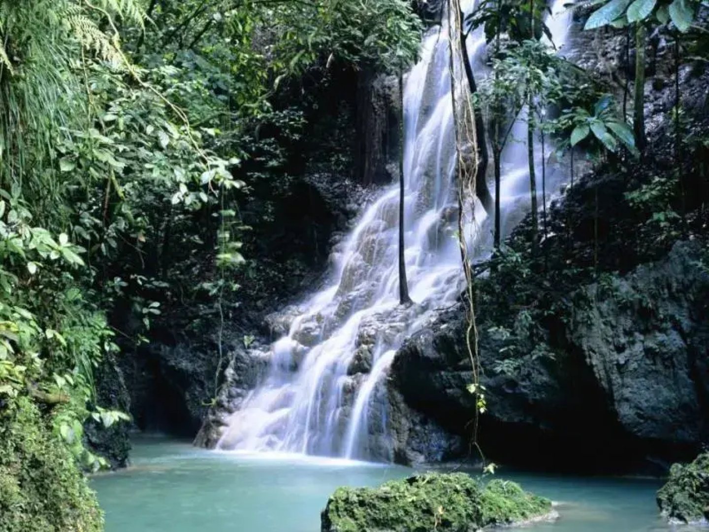 Sinharaja Eco lodge