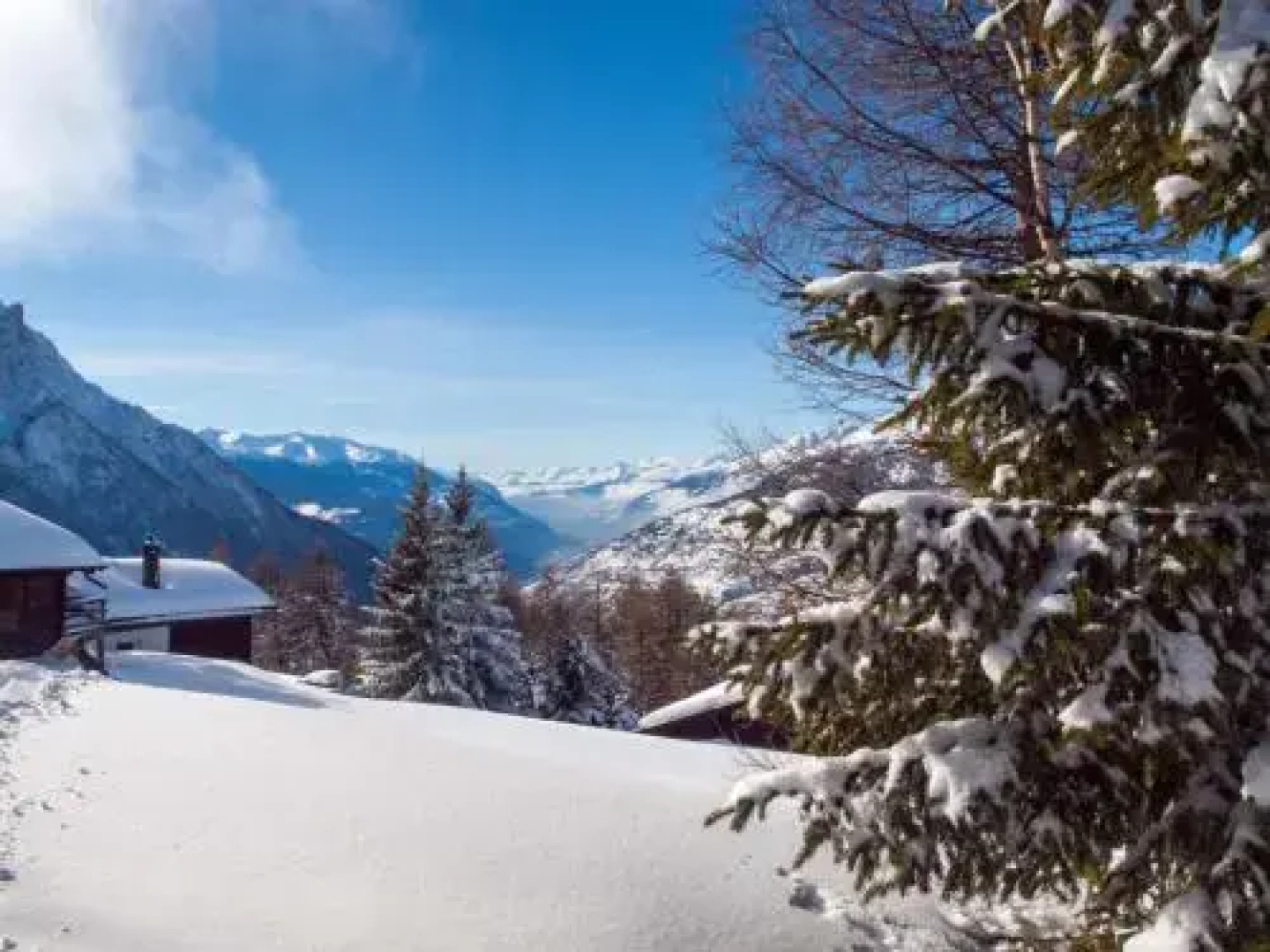 Chalet Panorama