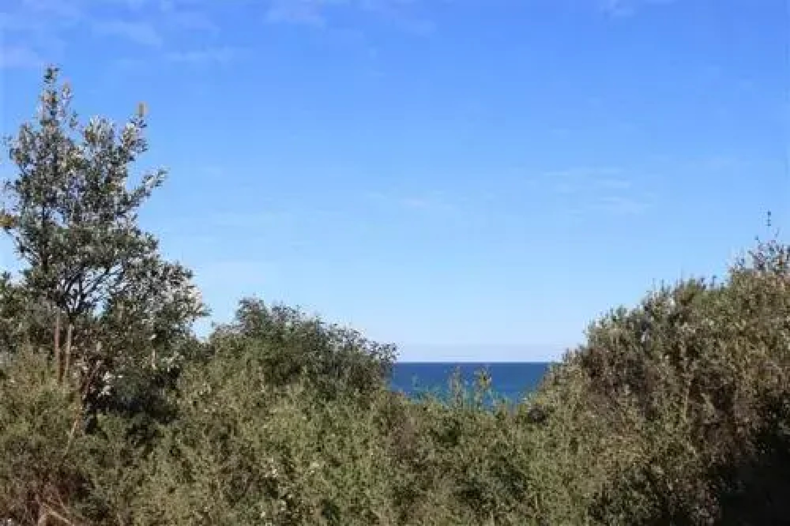 Oceanside 5