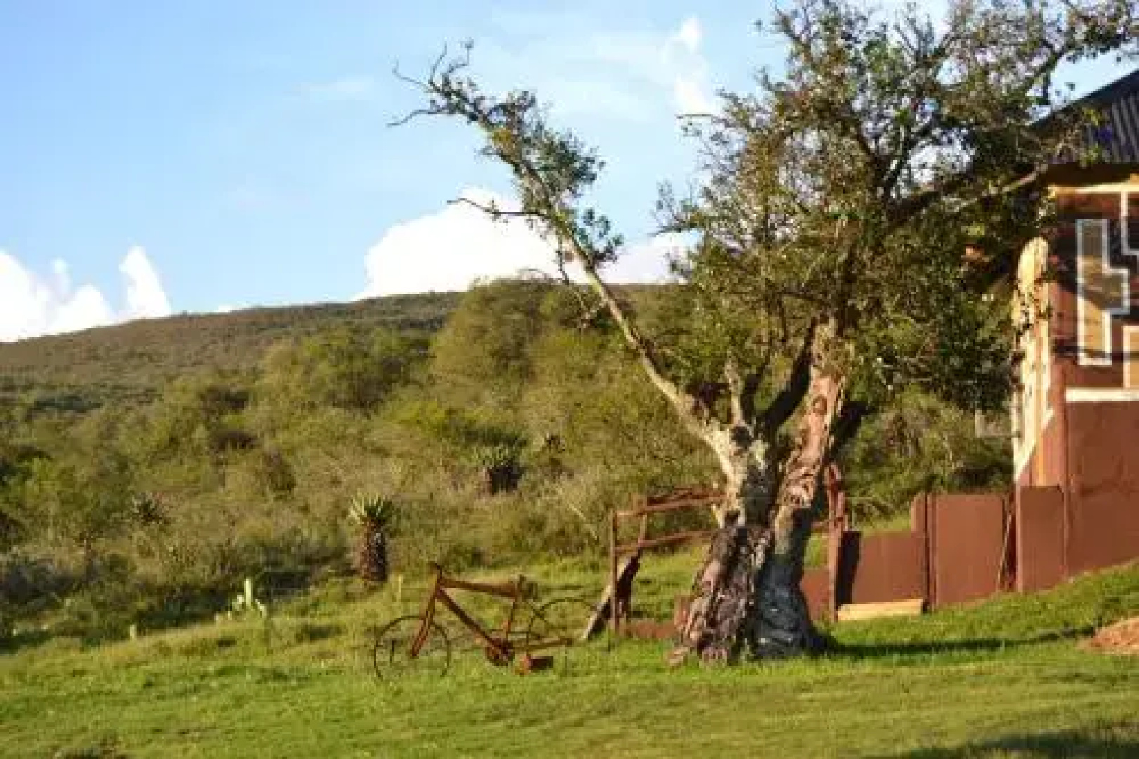 Addo Palace Bush Huts