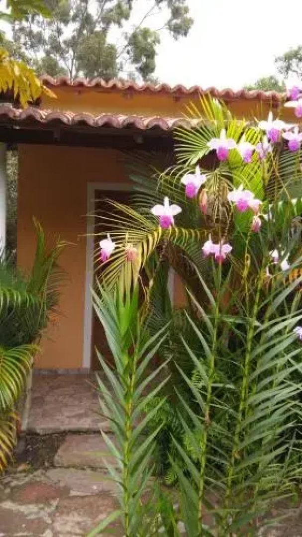 Pousada Lirio do Vale