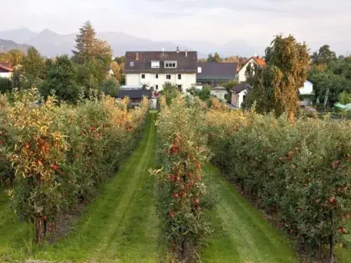 Ferienwohnungen Müller