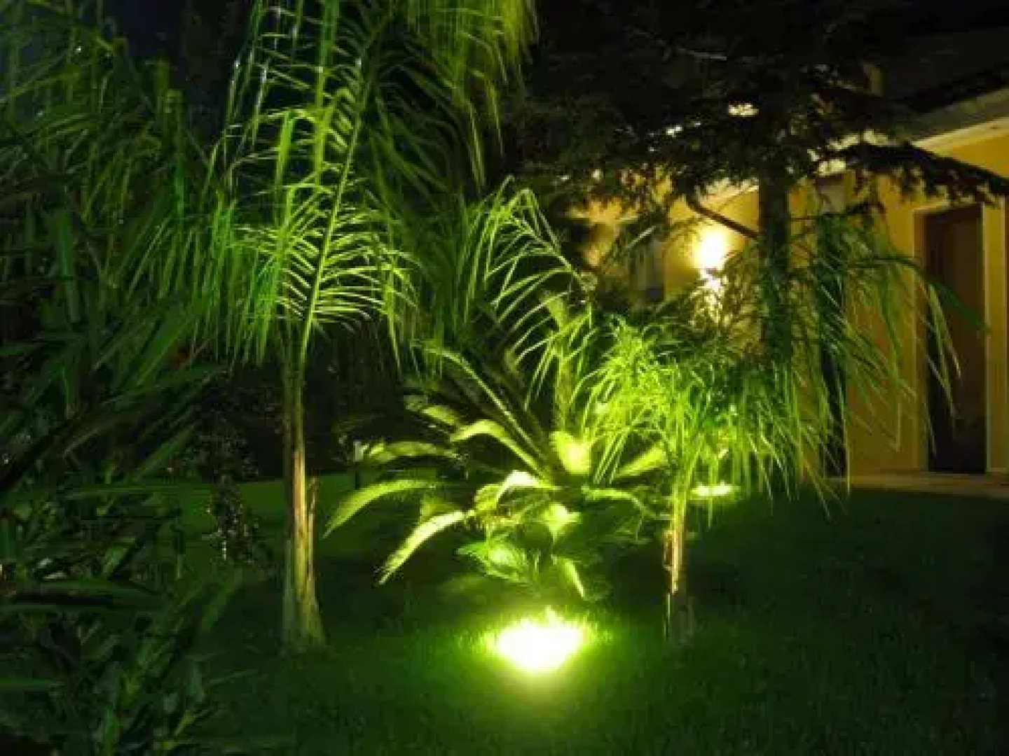 Domus Open Space