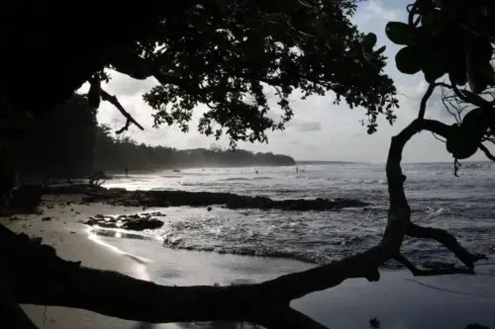 New Caribe Point