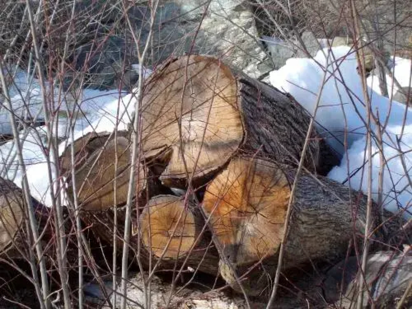 Affittacamere De Charme Jour Et Nuit