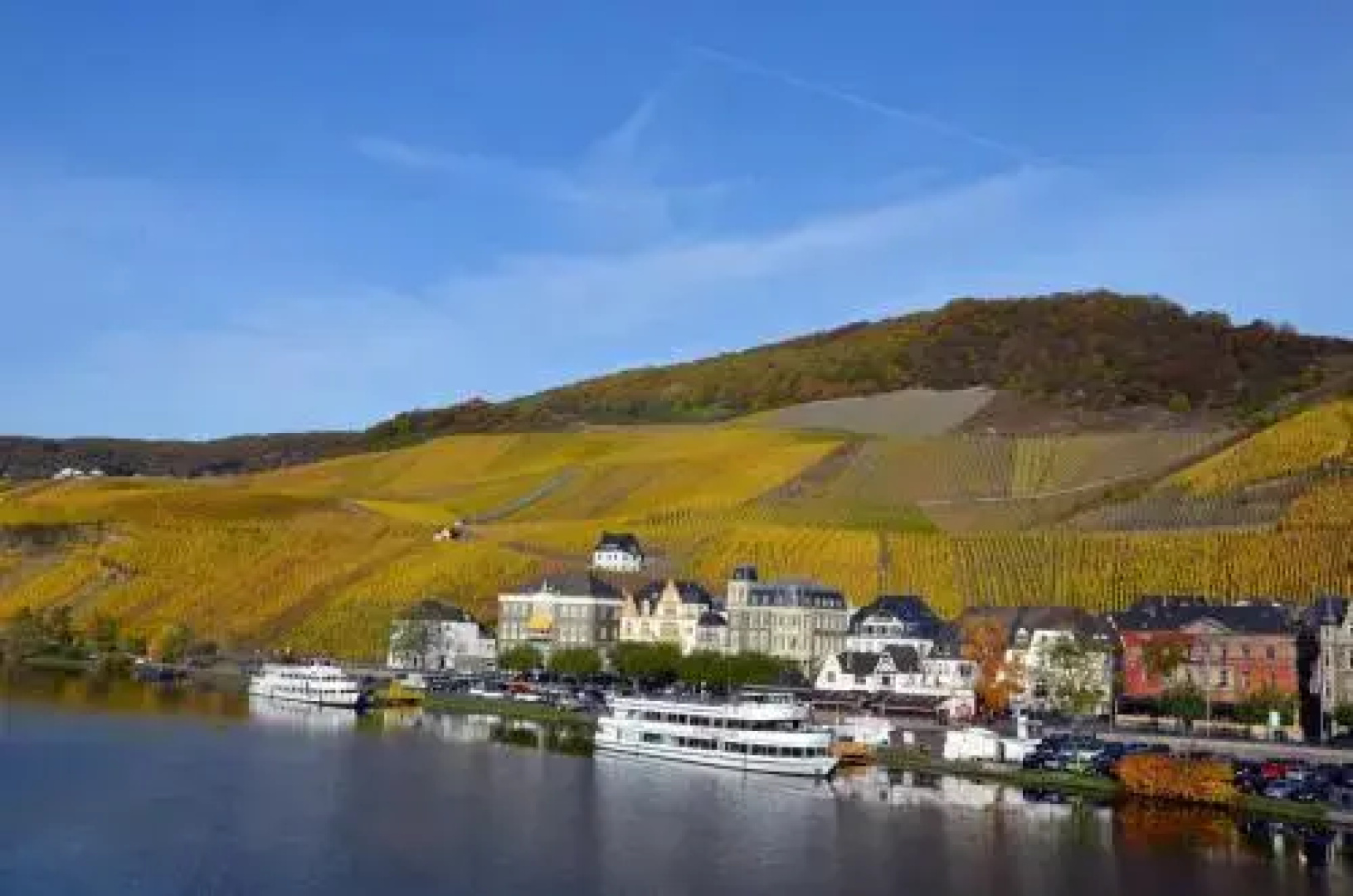 Moselle Rose
