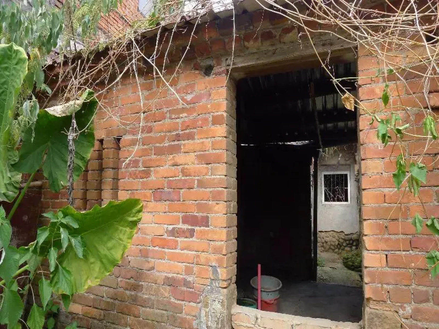 67 Old Street Backpacker Hostel