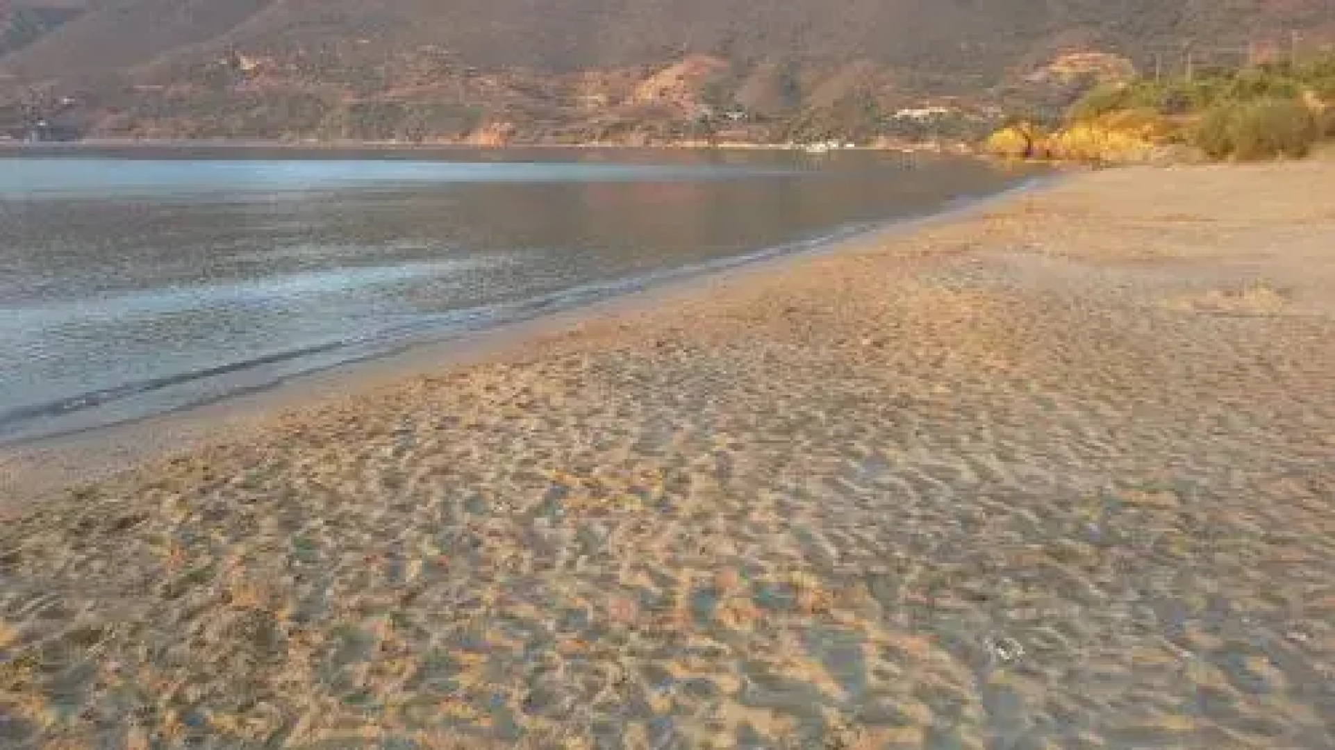 Kavoulakos Studios