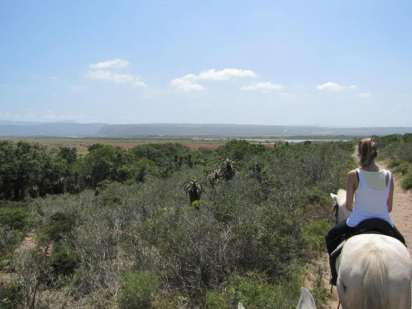 All Africa J Bay Lodge