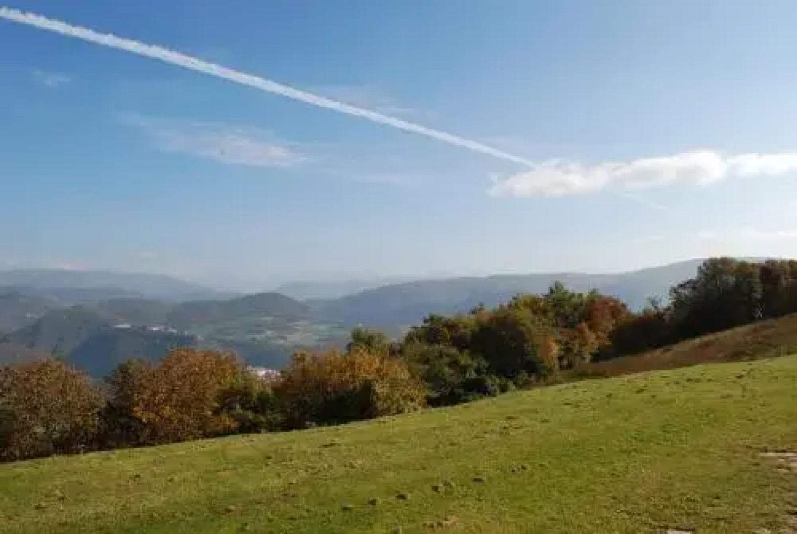 La Ginestra