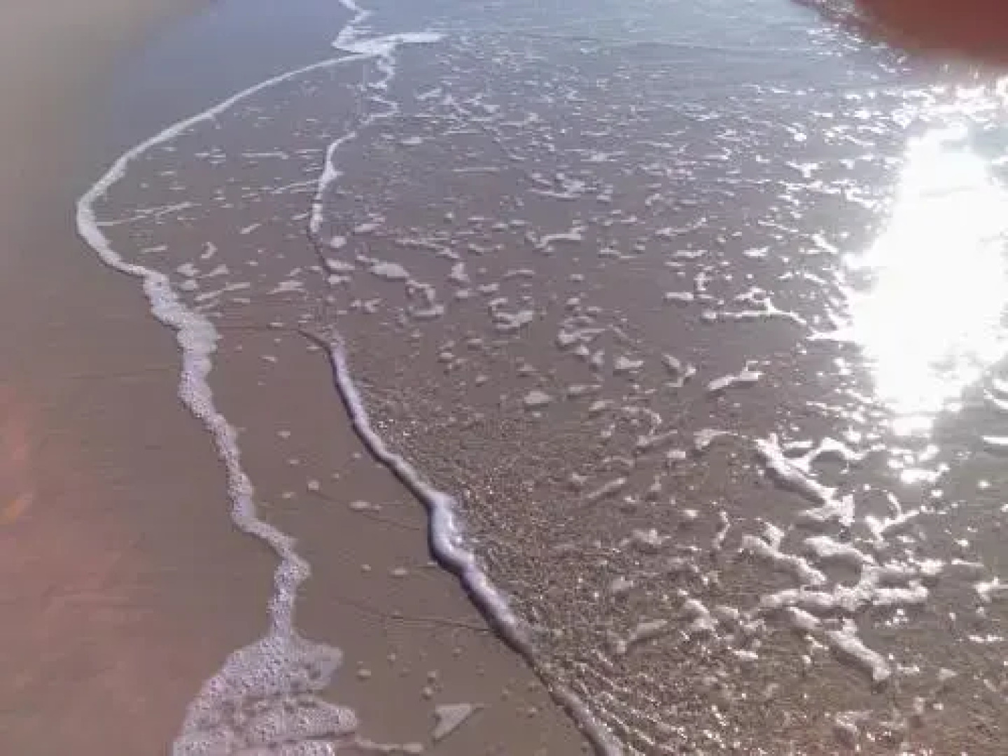 Decked out for a Fantastic Holiday - Winnett St, Woorim