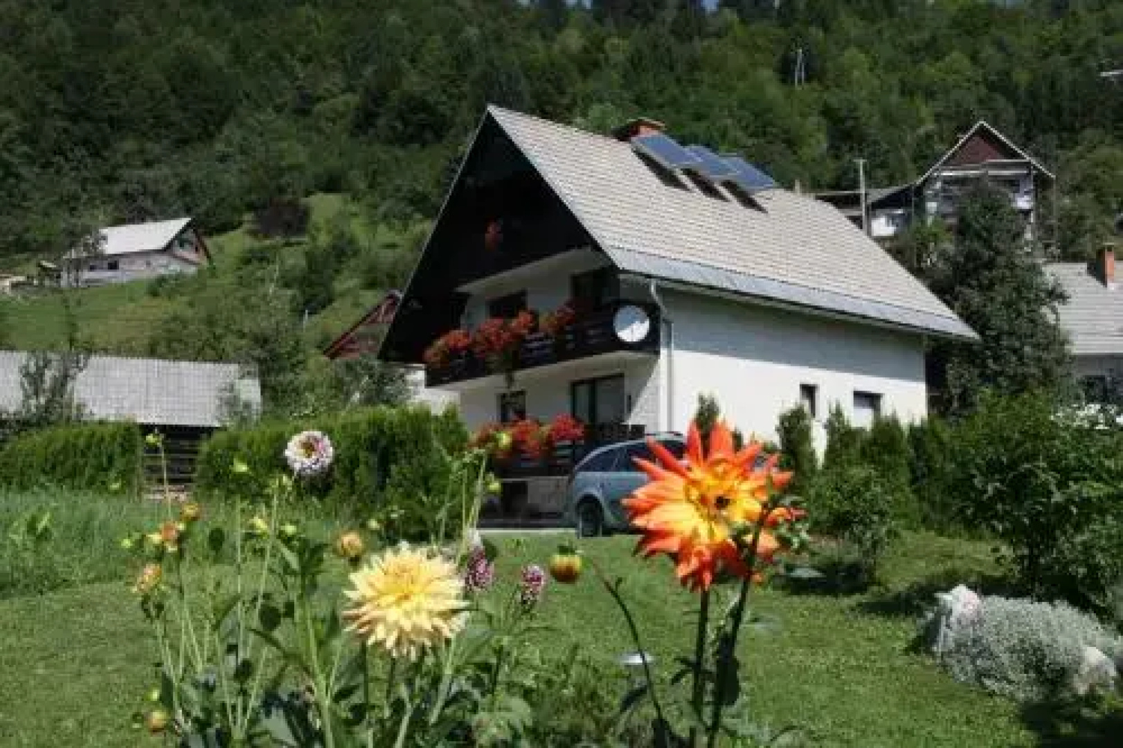 Apartments & Rooms Stanko Stare