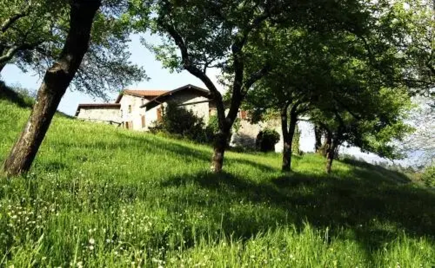 Agriturismo giandriale
