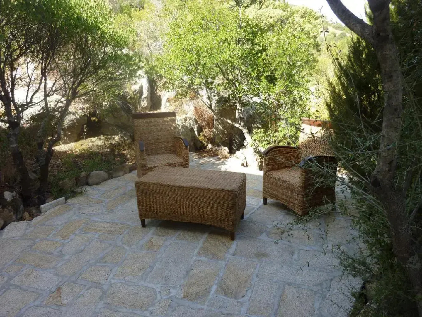 Leremo Di Marilisa Rea