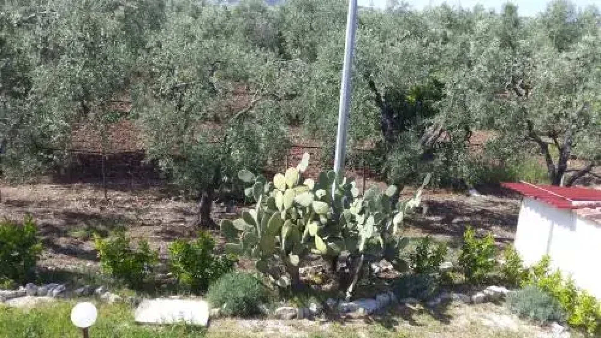 Agriturismo Azzarone