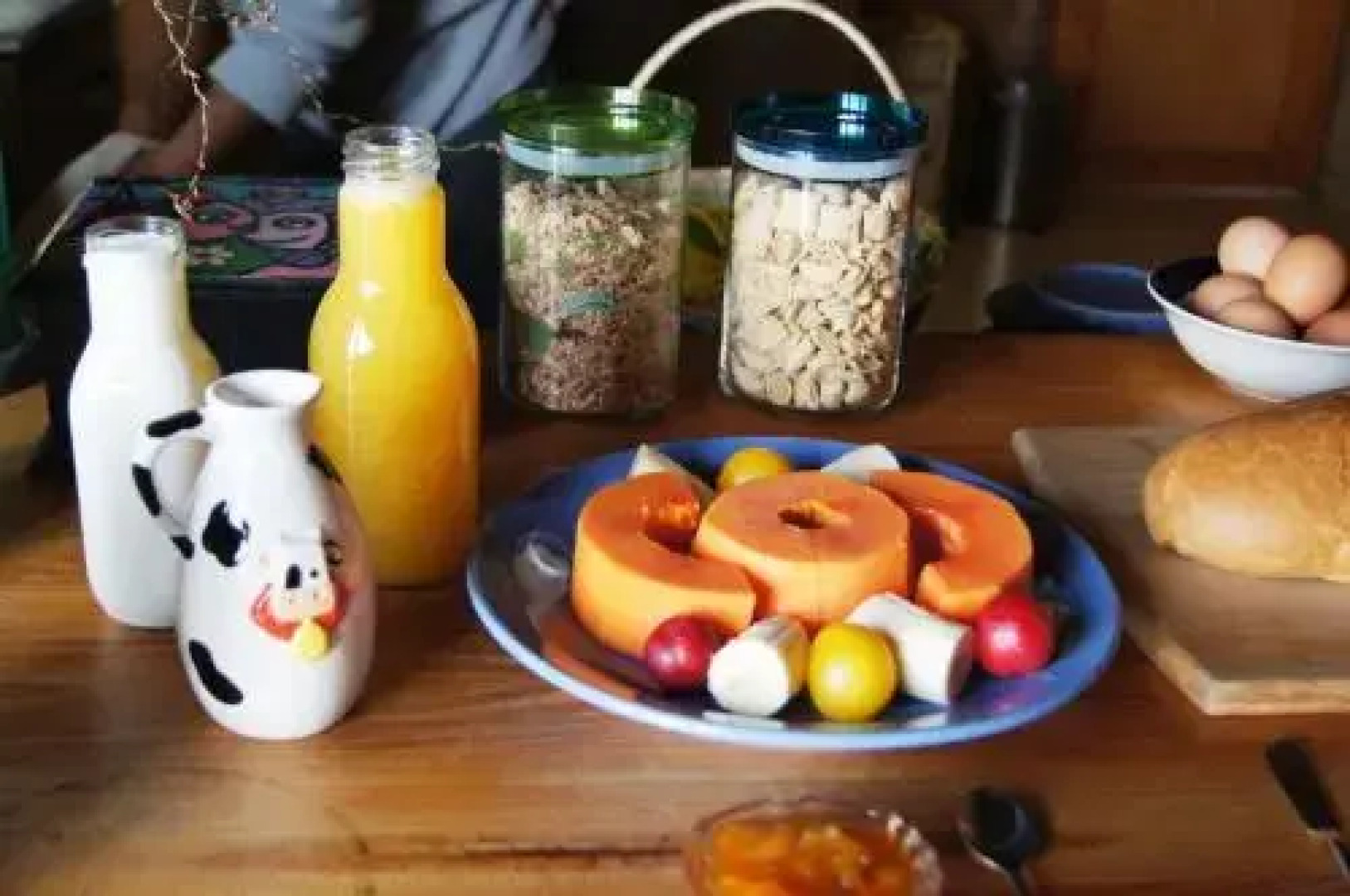 Reserva Natural Forest of Orchids