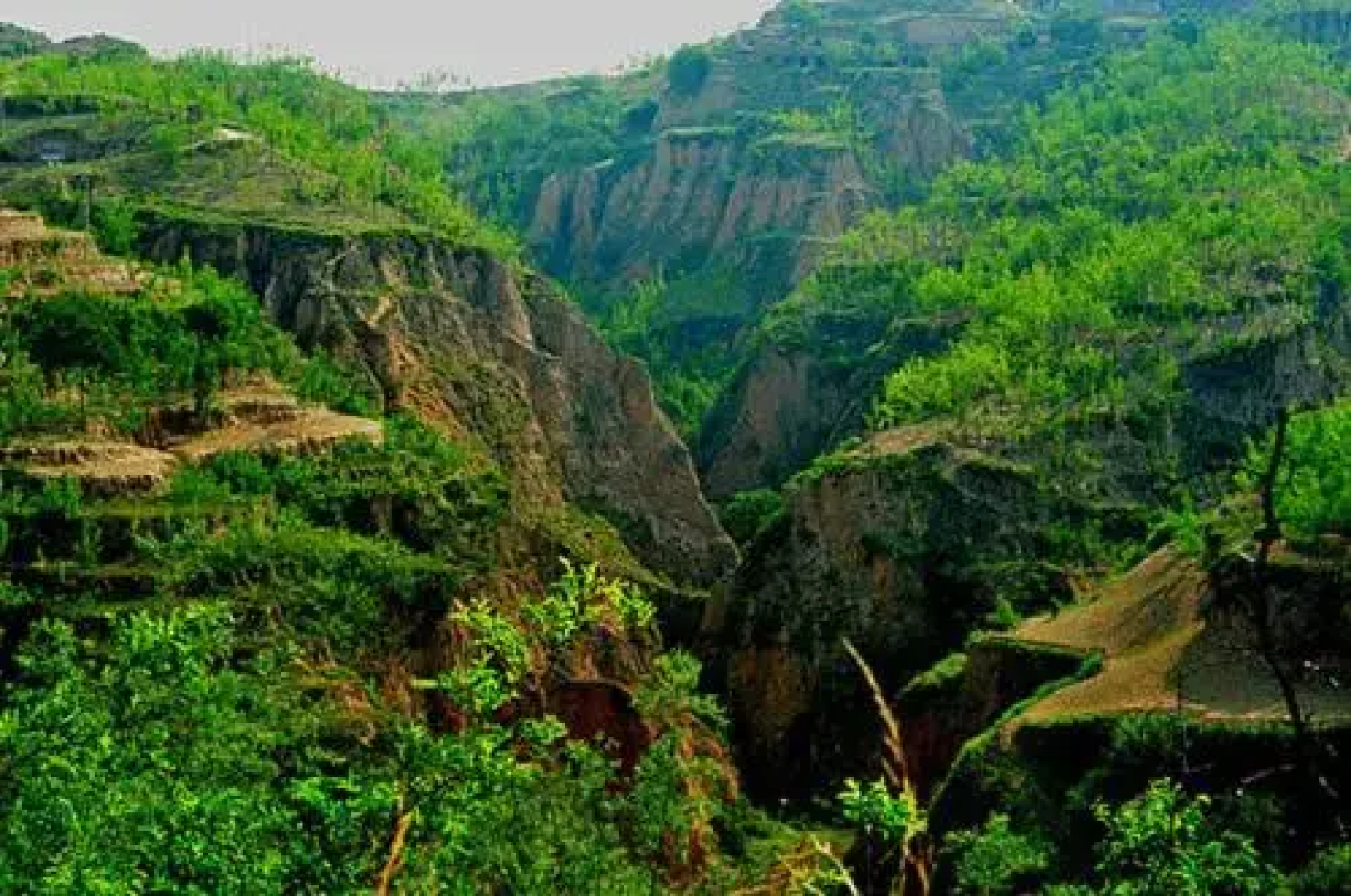 Qikou Li Jianxin Farmstay