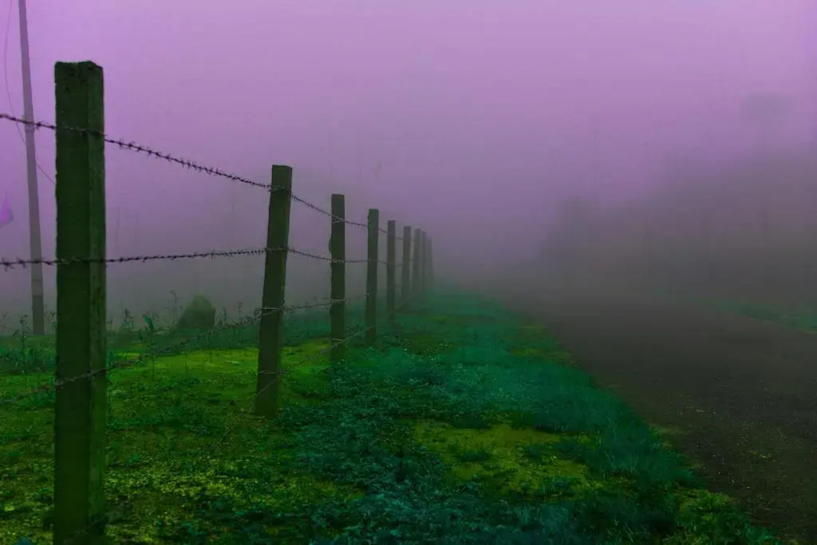 Green Meadows Vagamon