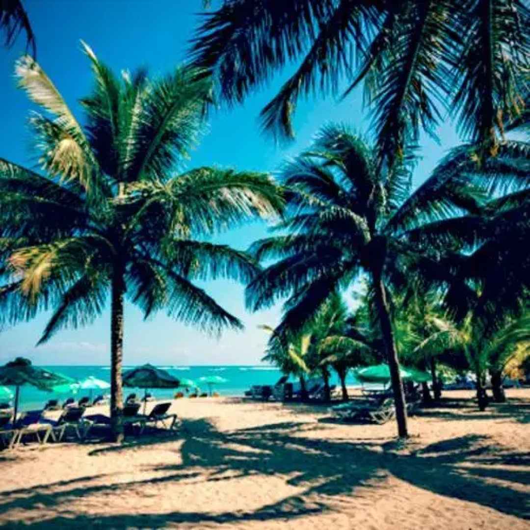 Manana Cabarete