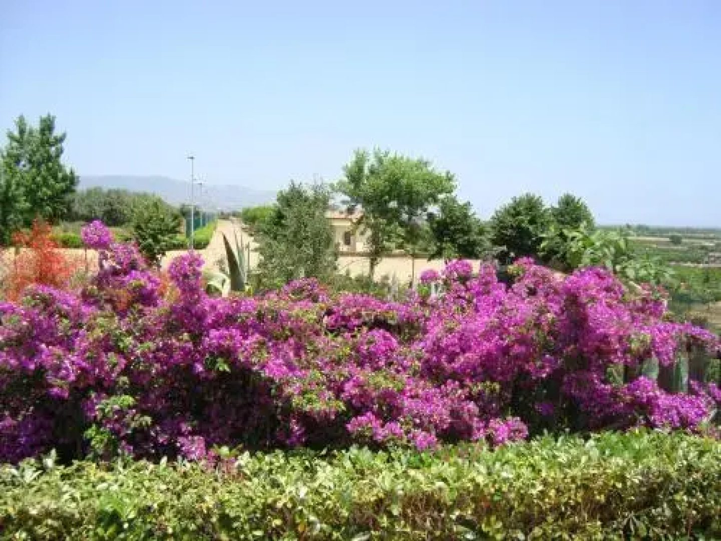Agriturismo Colle Degli Ulivi