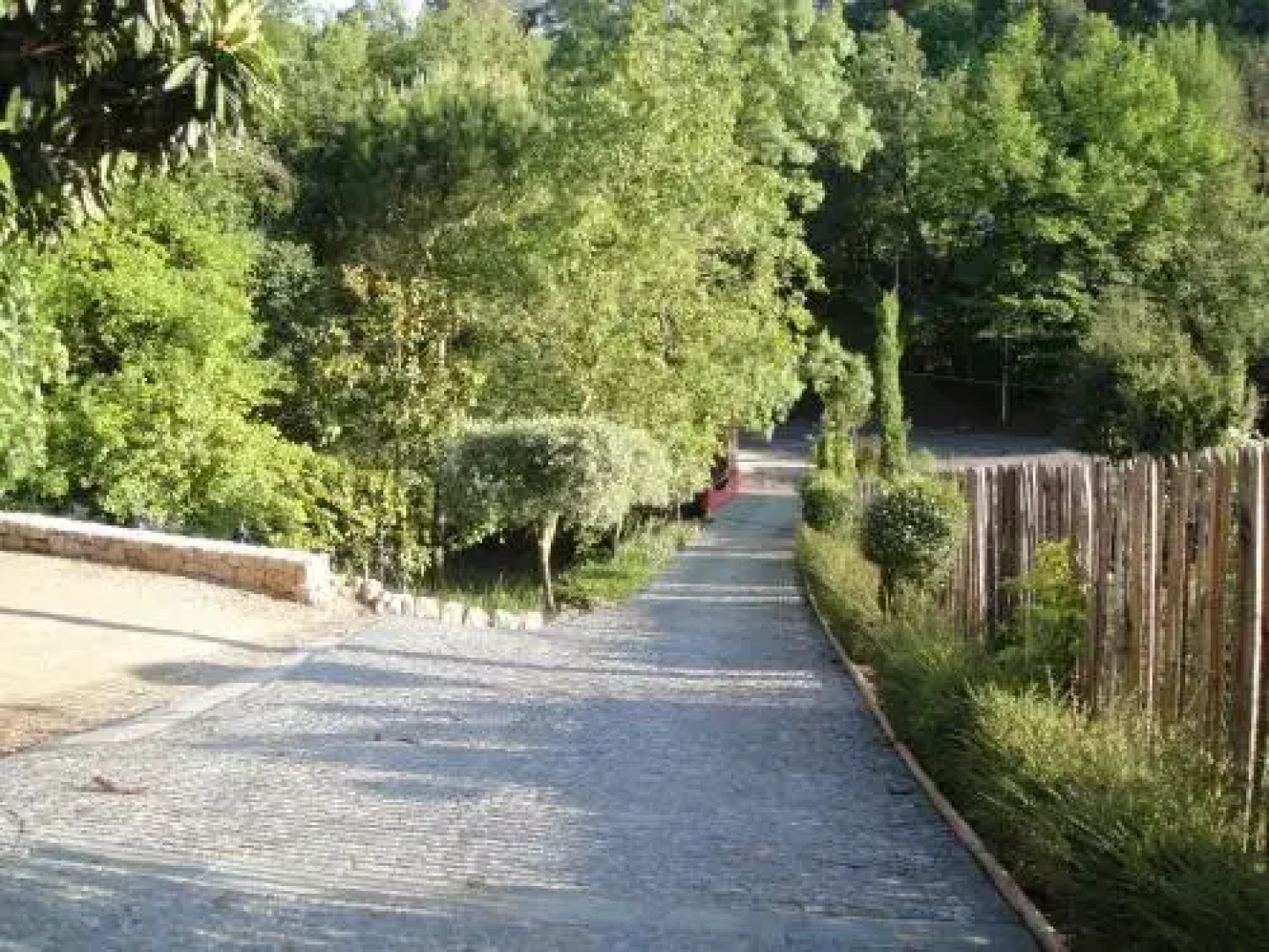 Côte dAzur Sous les Pins