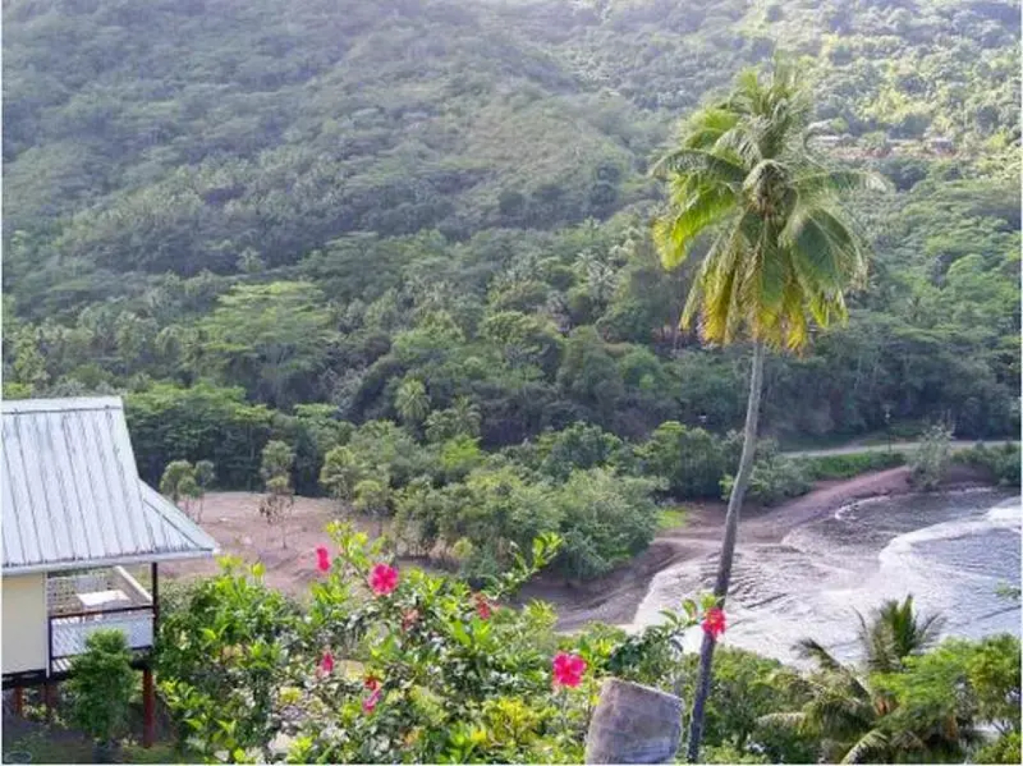 Temetiu Village