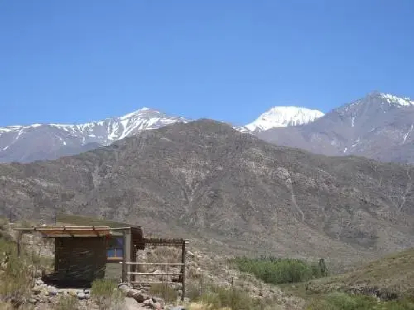 Las Margaritas