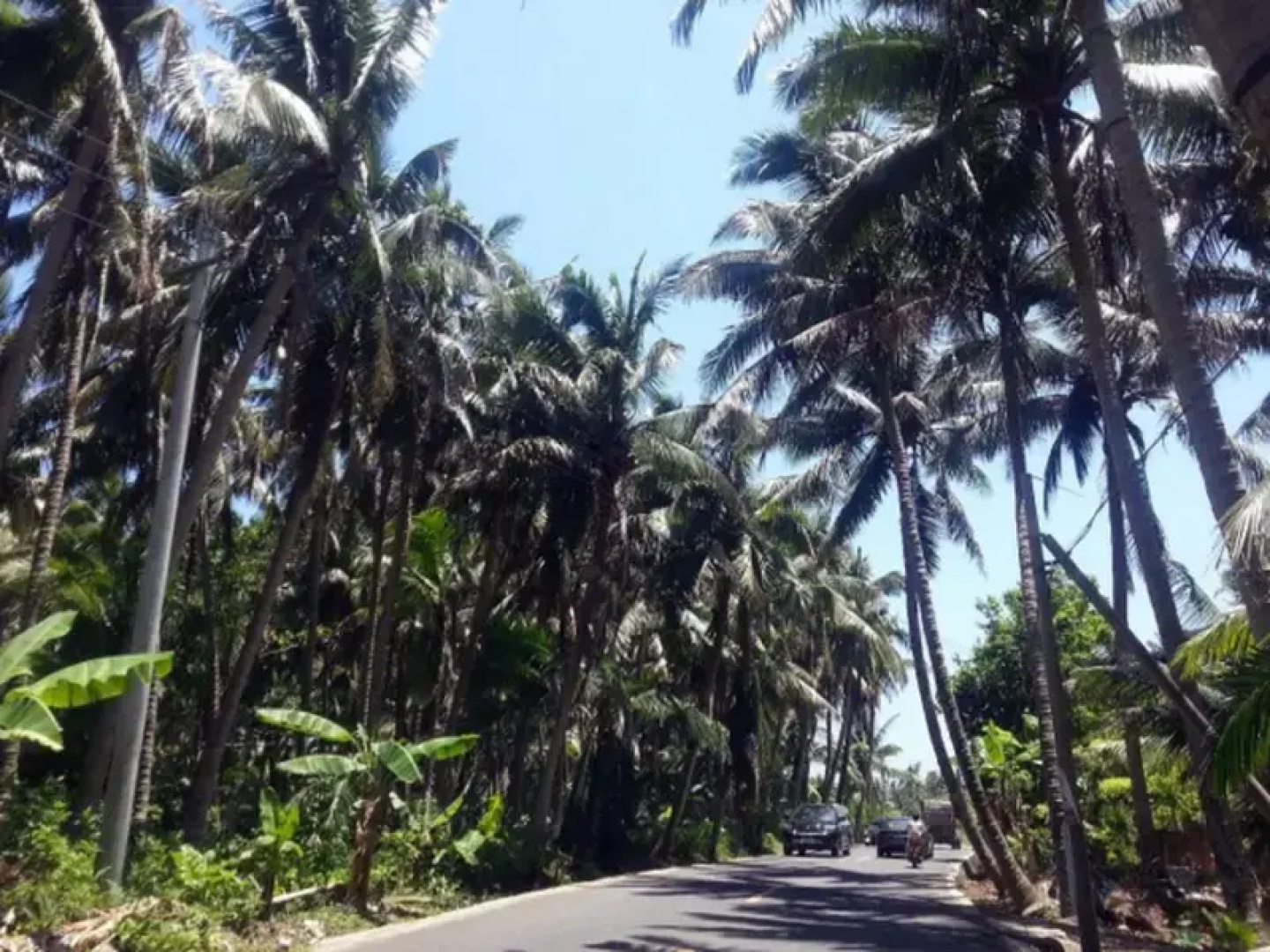 Wenchang Coconut Grove Herton Seaview Hotel