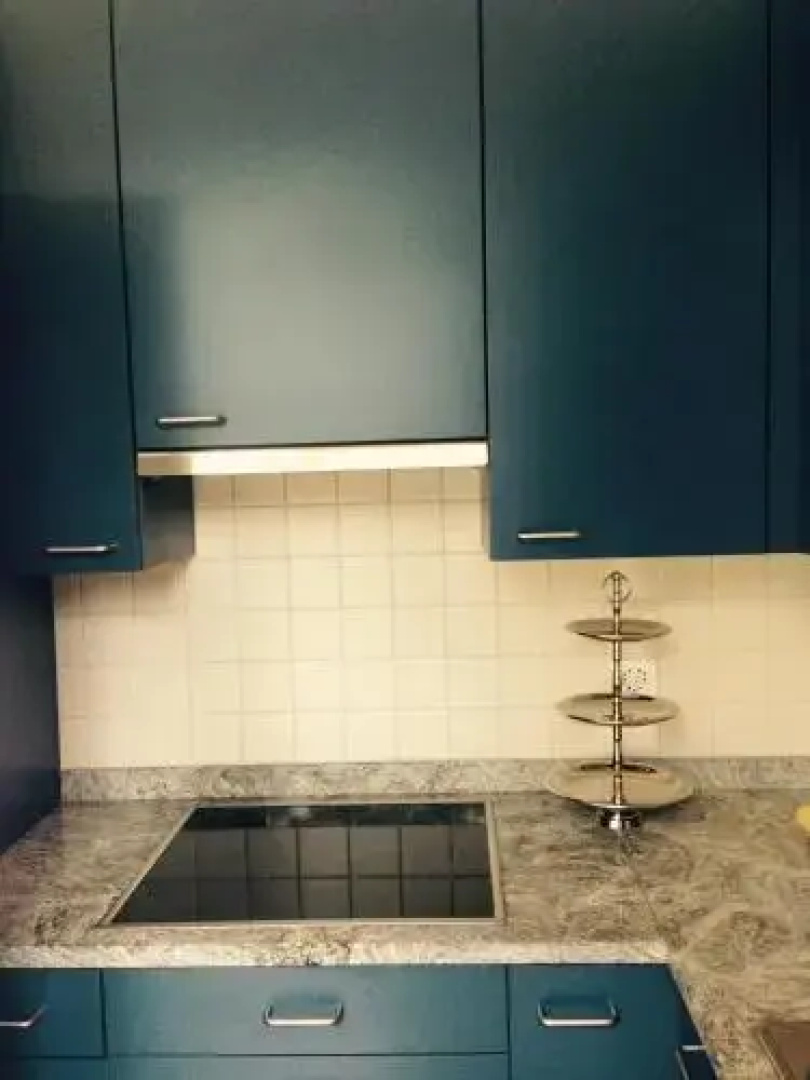 AVLiving City Flat Basel with Roof Garden