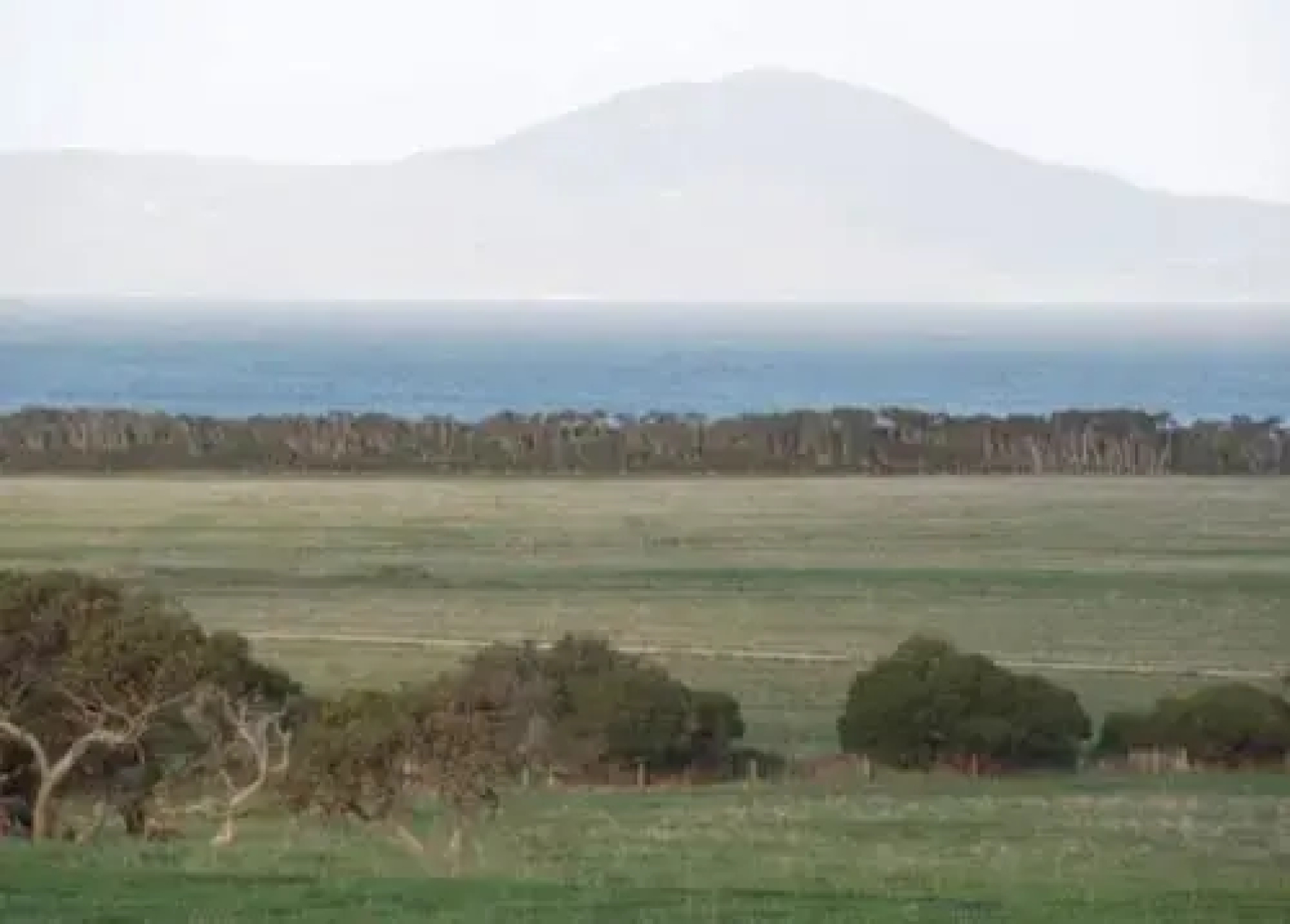 Black Cockatoo Cottages