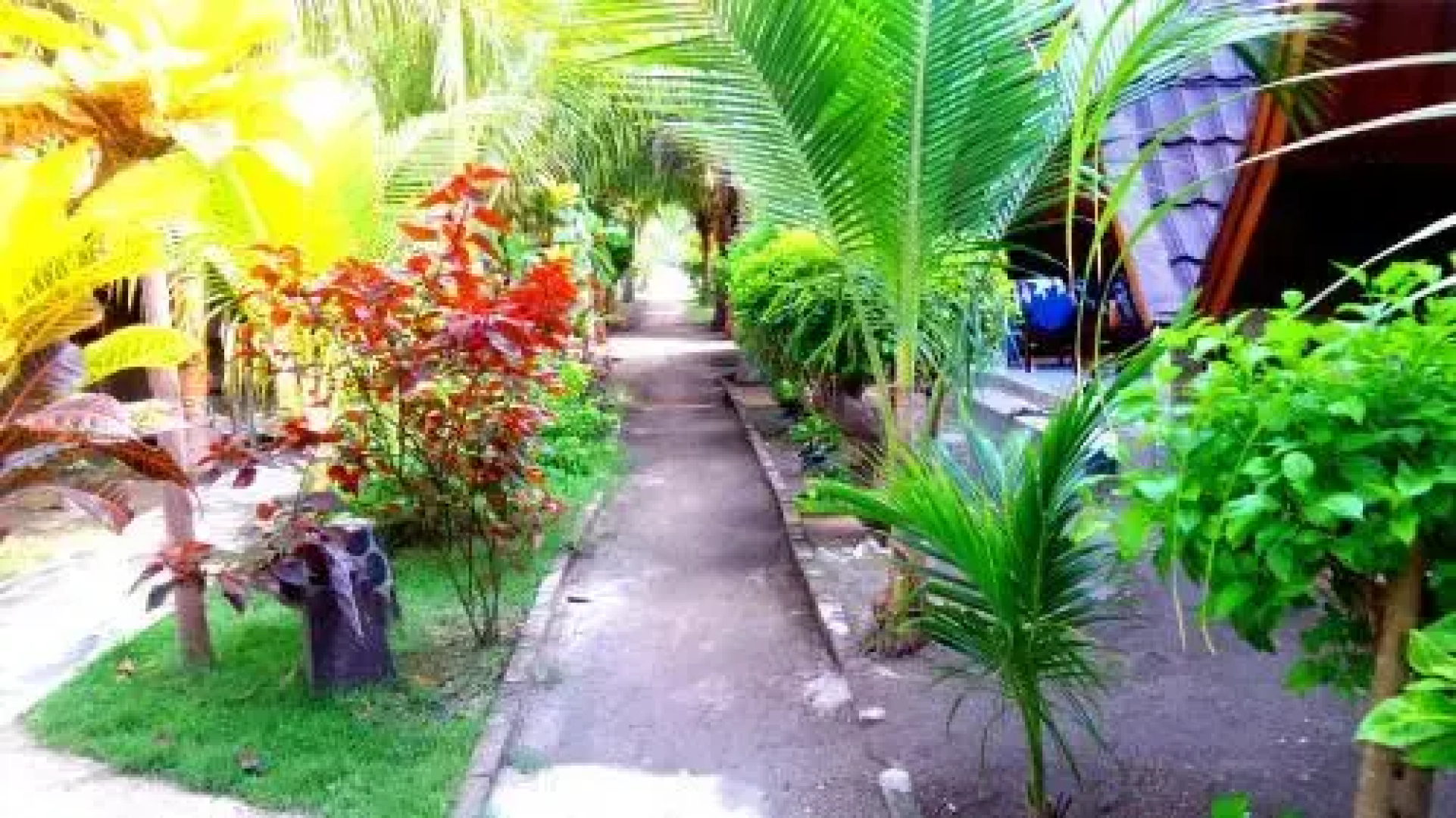 Saeri Matahari Bungalow