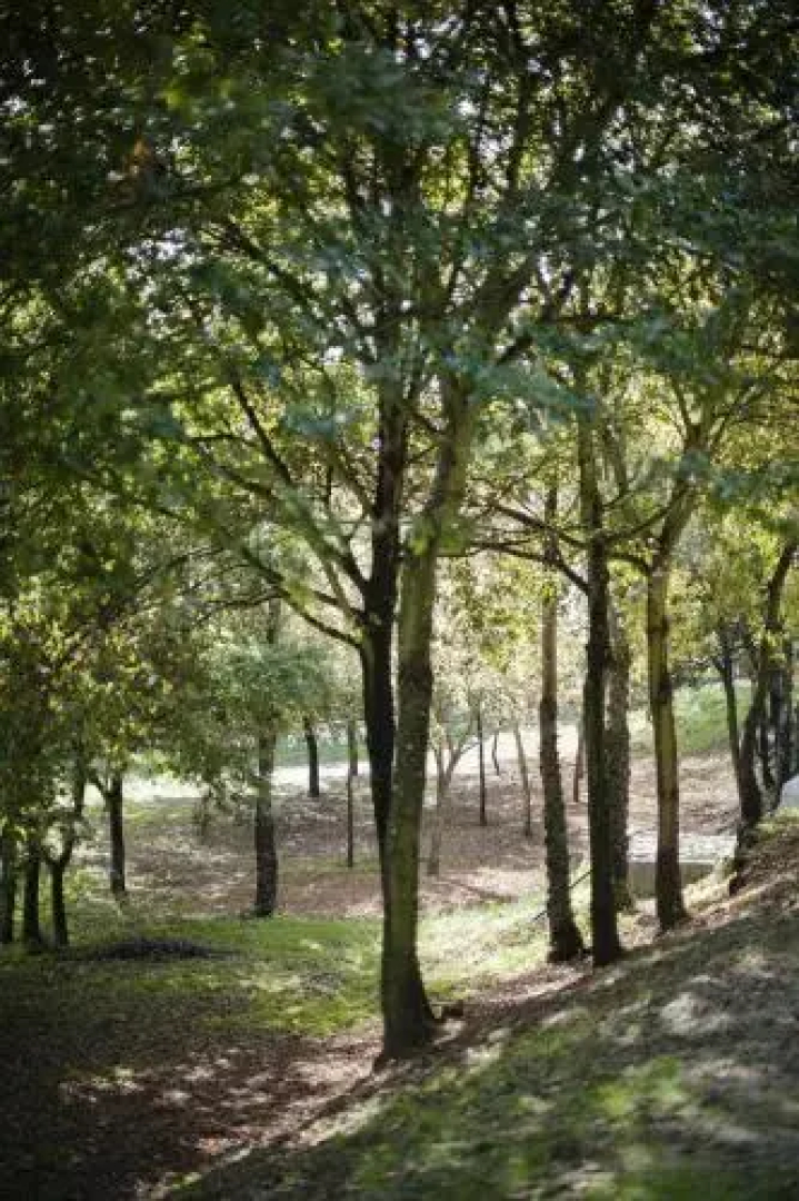 Quinta de Freixieiro