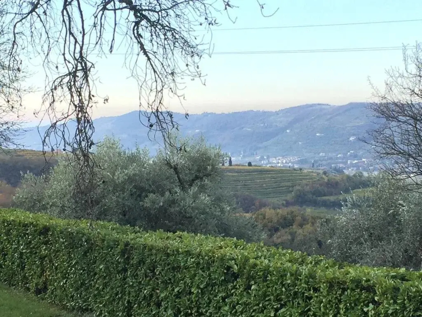 B&b Al Sicomoro