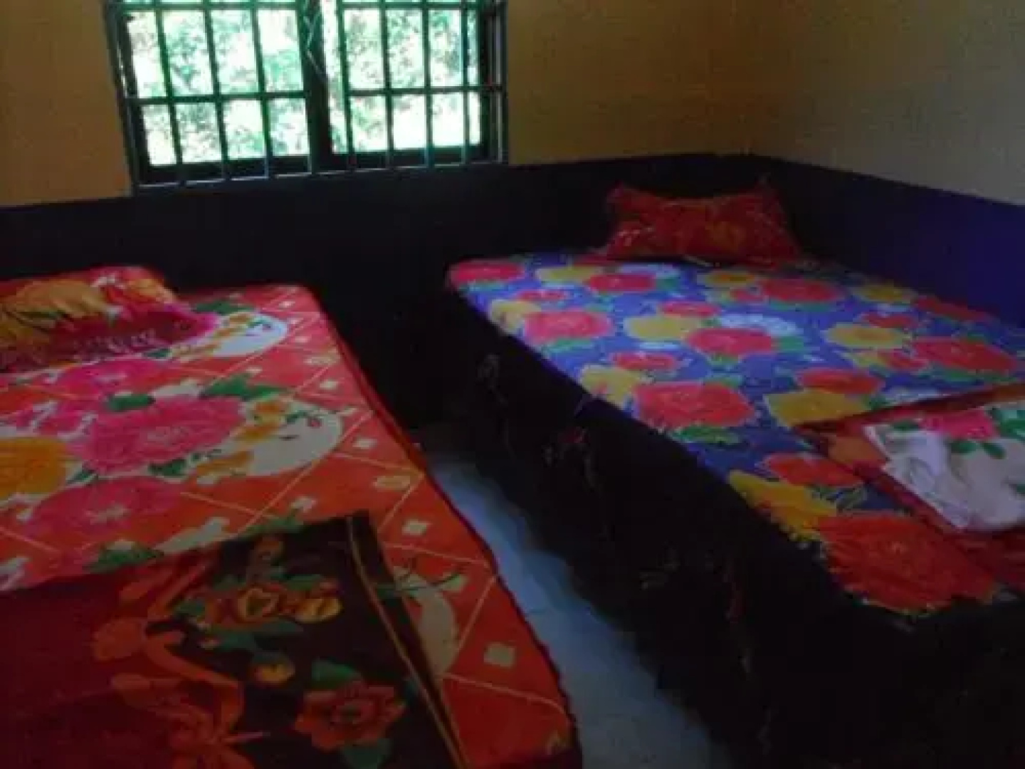 Crab-eating Macaque Guesthouse