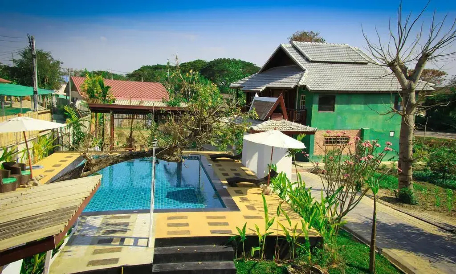 Teewana Healthy Vegetables House