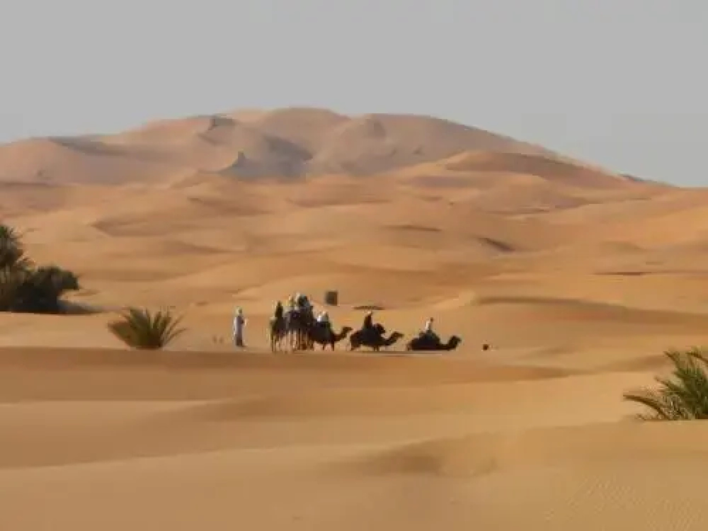 Riad Kemkem