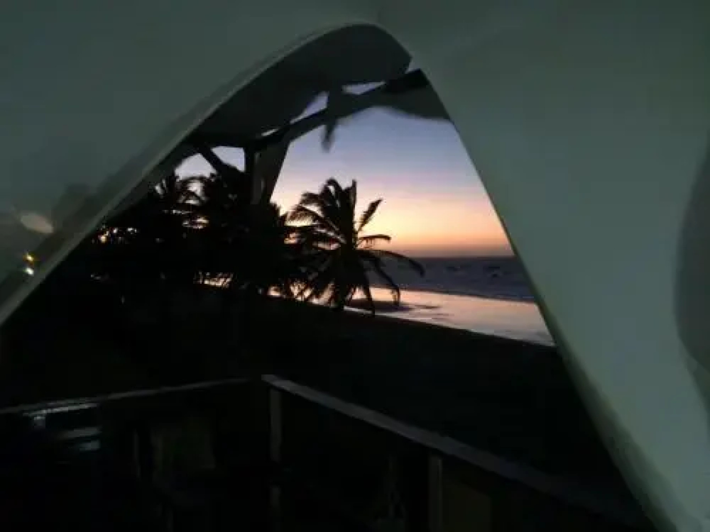 Aloha