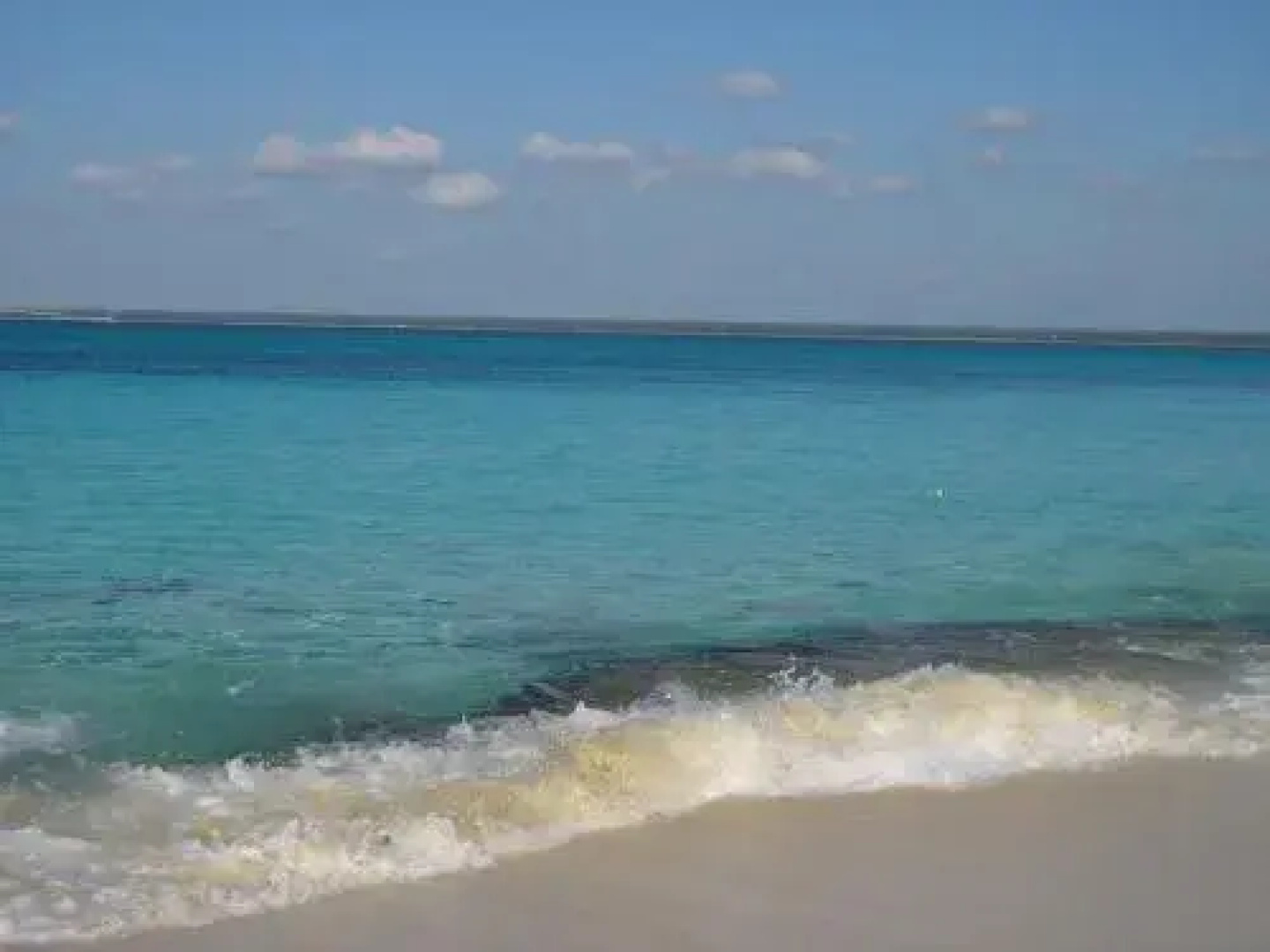 Tirrenia Vacanze